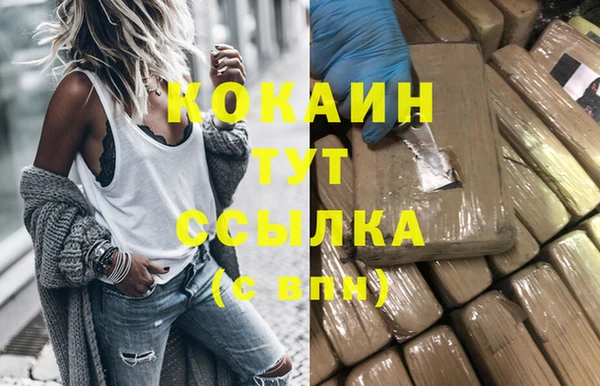 стаф Алзамай
