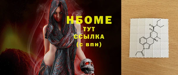 стаф Алзамай