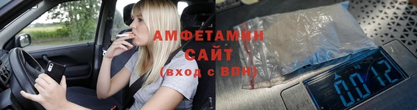 стаф Алзамай