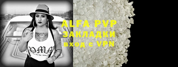 стаф Алзамай