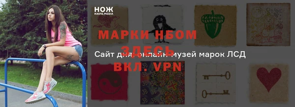 стаф Алзамай
