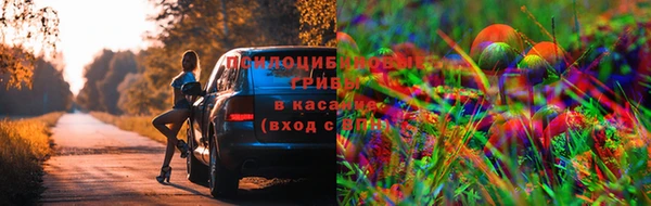 PSILOCYBIN Алексин