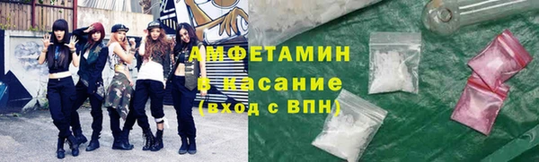 стаф Алзамай