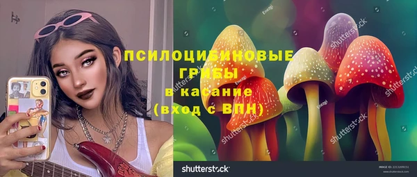 стаф Алзамай
