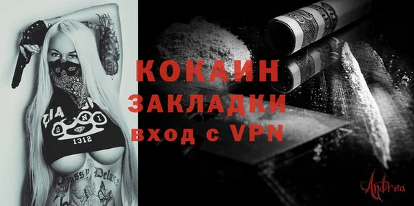 индика Алексеевка