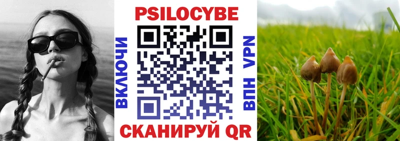 Псилоцибиновые грибы Magic Shrooms  дарнет шоп  Навашино 